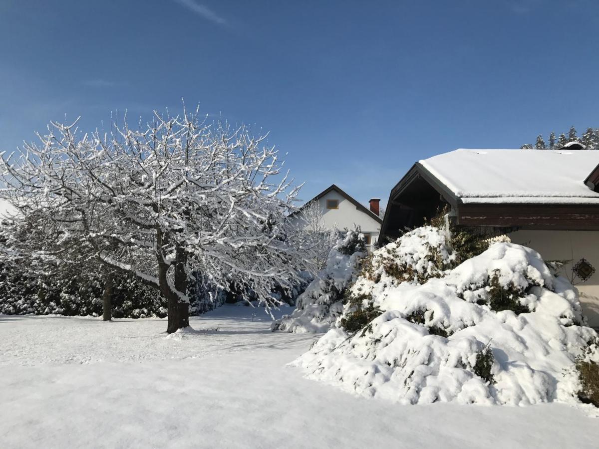 Вілла V Gemuetliches Gartenhaus Sankt Michael ob Bleiburg Екстер'єр фото